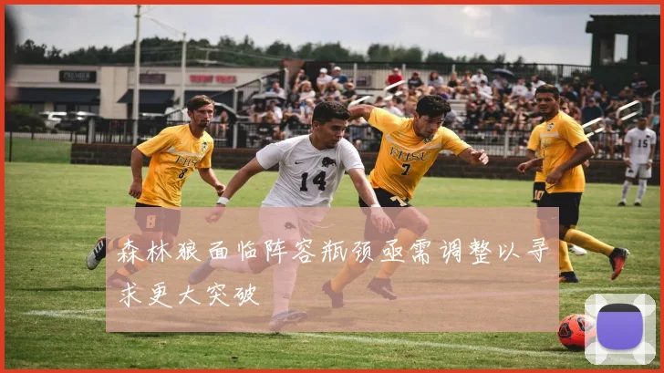 森林狼面临阵容瓶颈亟需调整以寻求更大突破